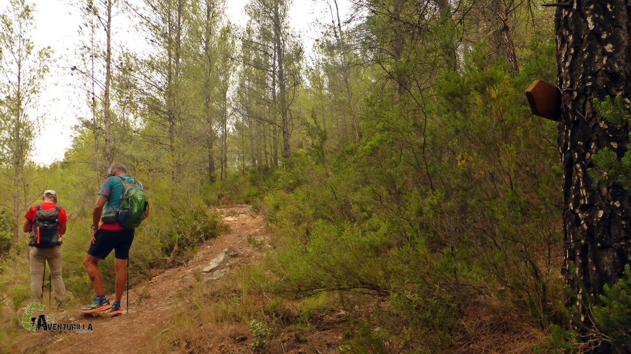 Senda de bajada a la pista