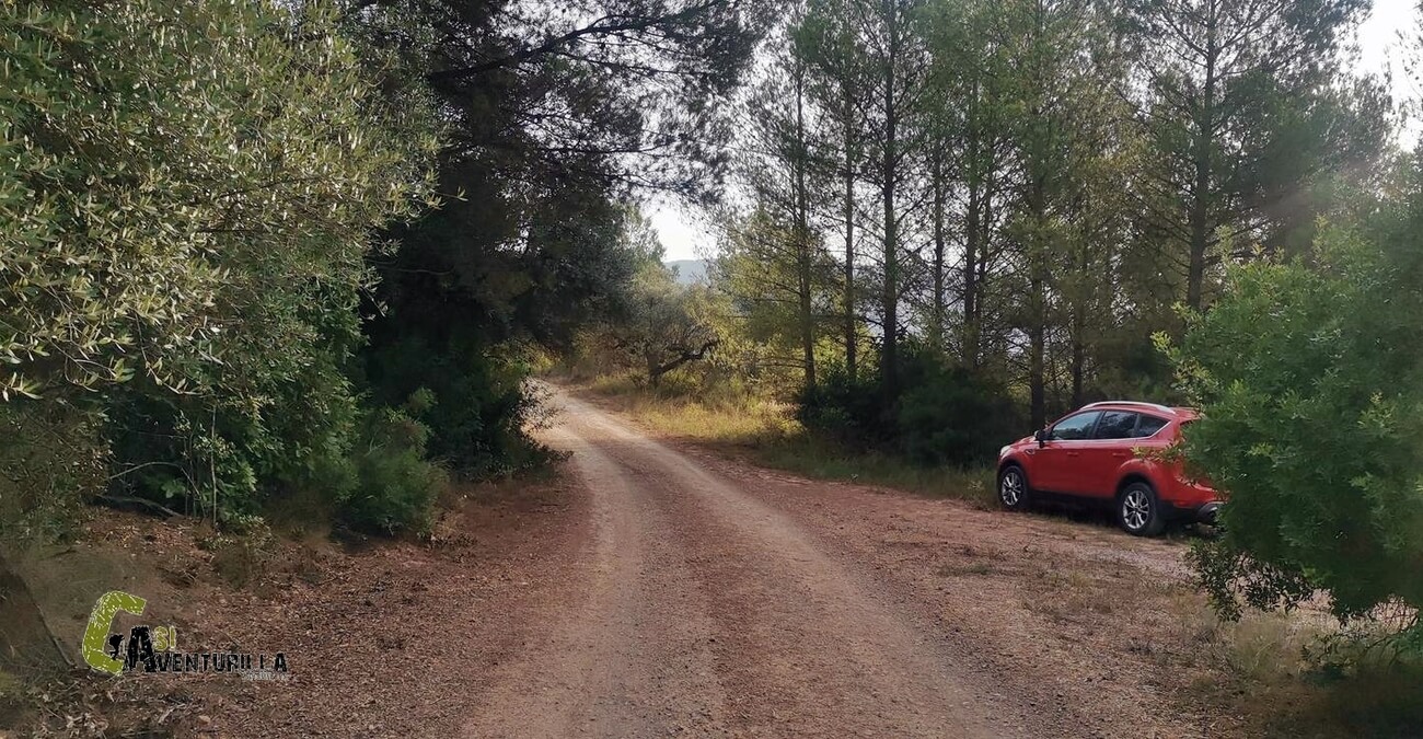 Aparcados junto a una pista forestal