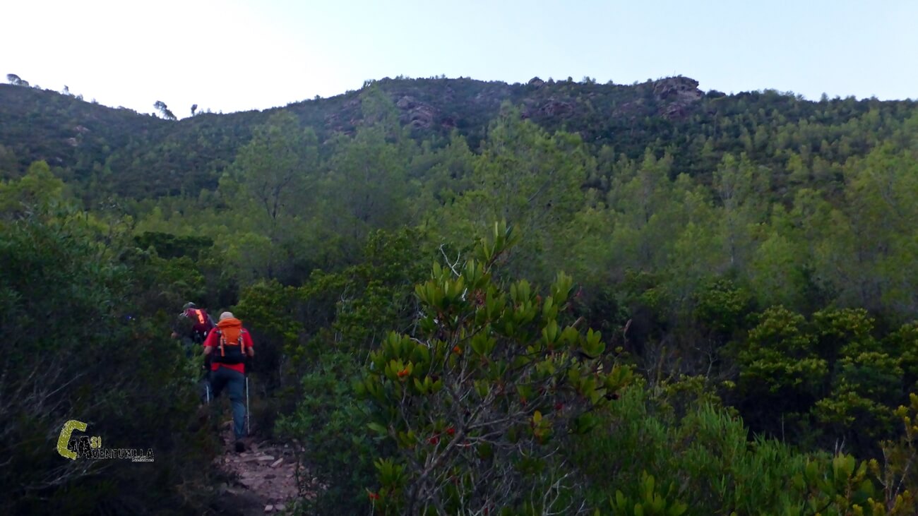 Ascendiendo por sendero a la coveta de Ines