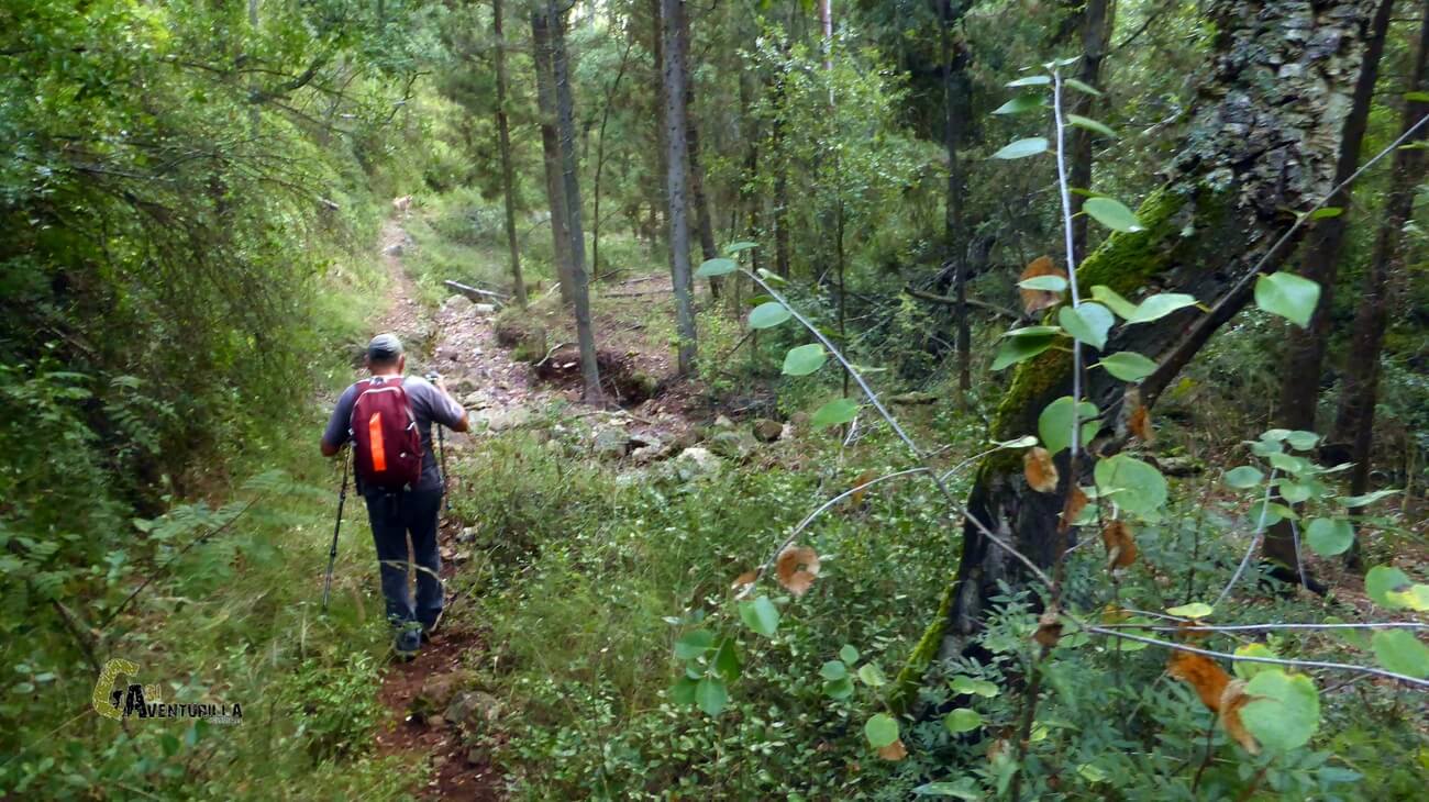 Caminando por el barranco del Alcornocal