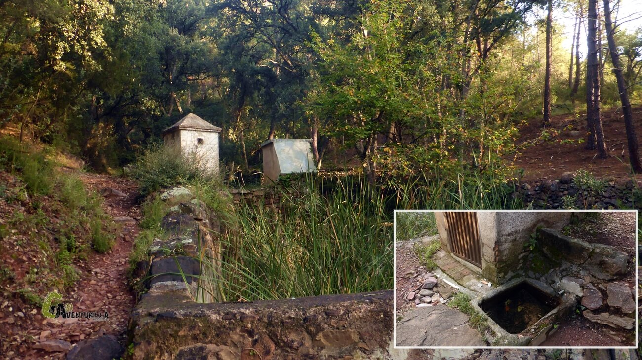 En la fuente del Alcornocal