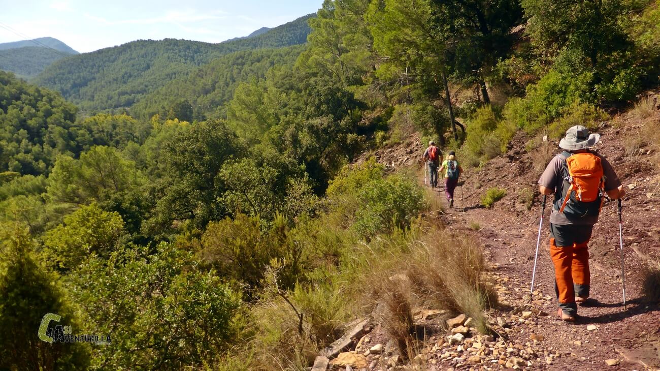 Sendero de bajada desde los Organos de Benitandus