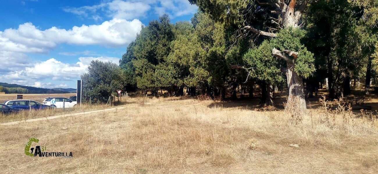 Entrada del sabinar de Calatañazor