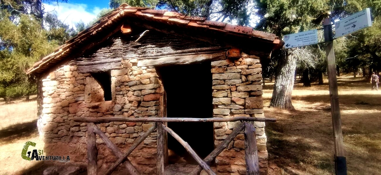 Refugio en el sabinar de Calatañazor