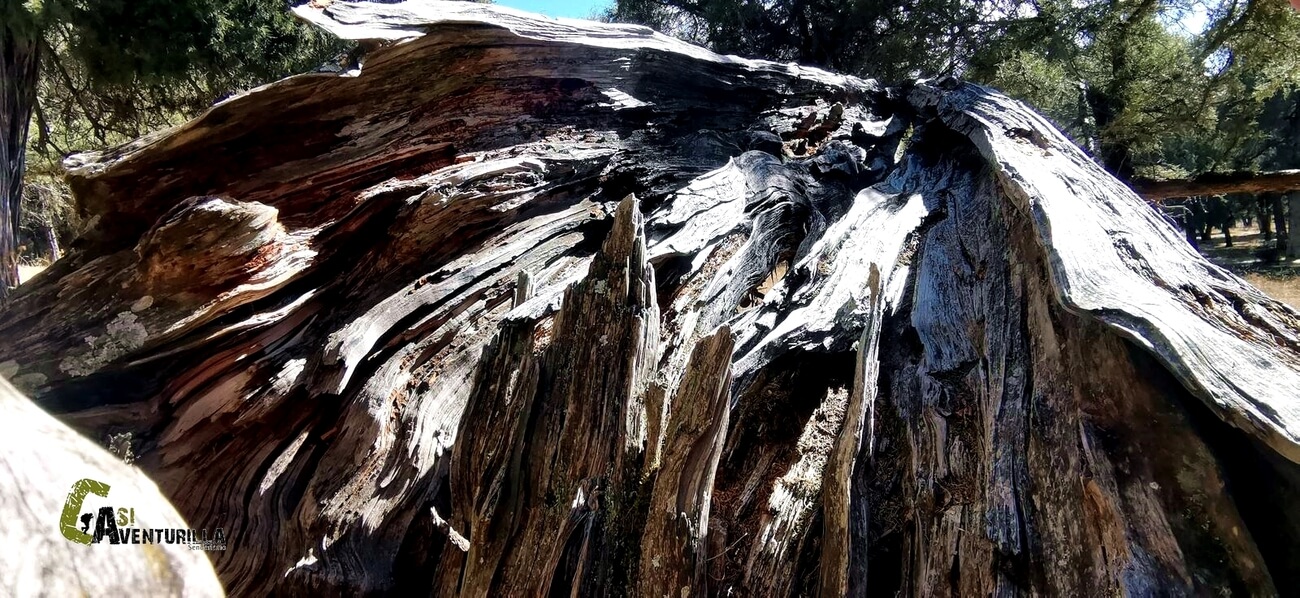 Detalle de una sabida partida