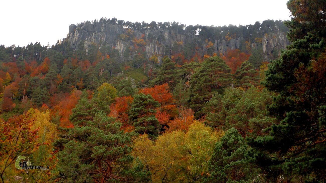 Pico El Hornillo asoma por encima del bosque