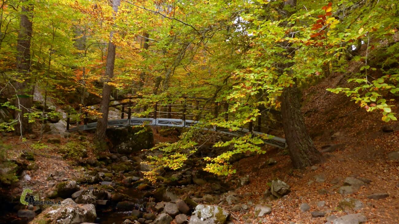 Puente sobre el arroyo de Laguna Negra