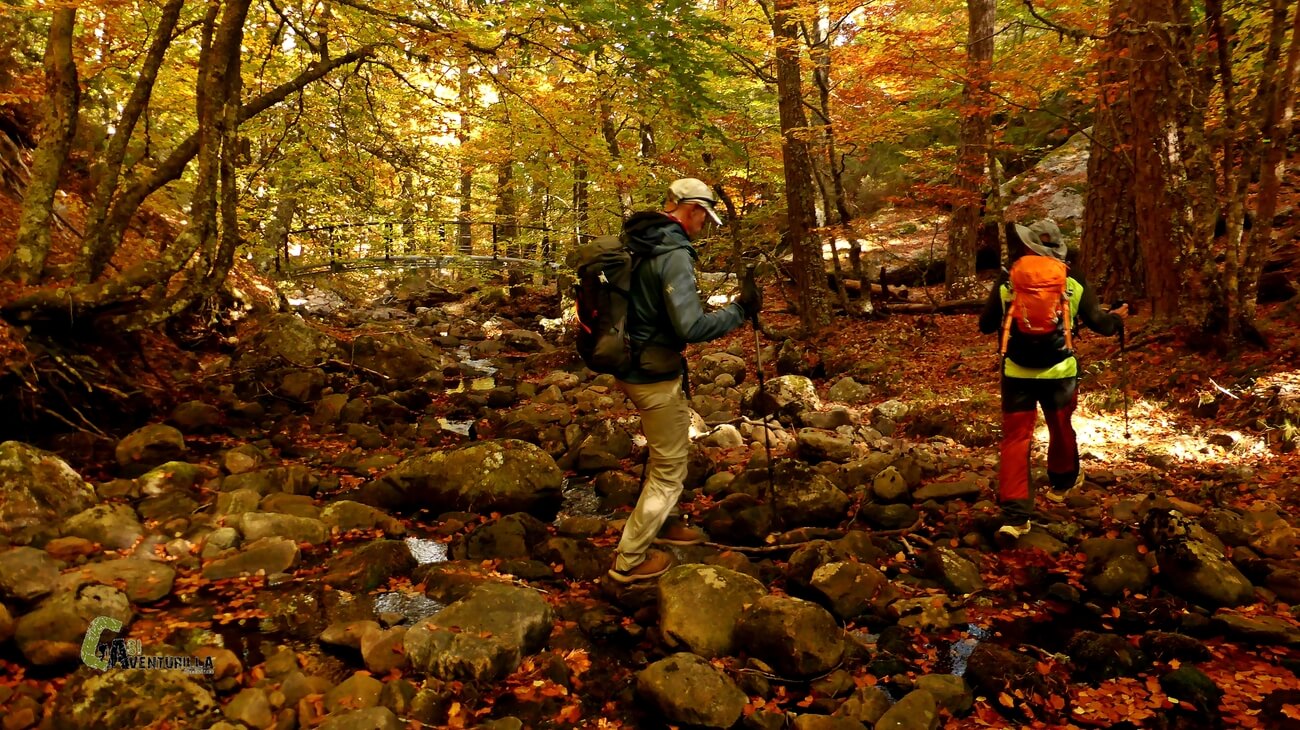 Bajando por el bosque al parking de la laguna Negra