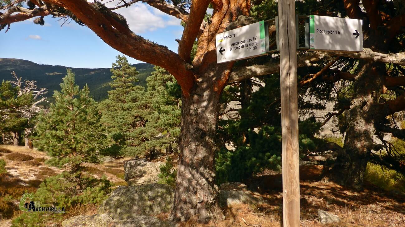 Cruce señalizado de sendas en Ambascuerdas