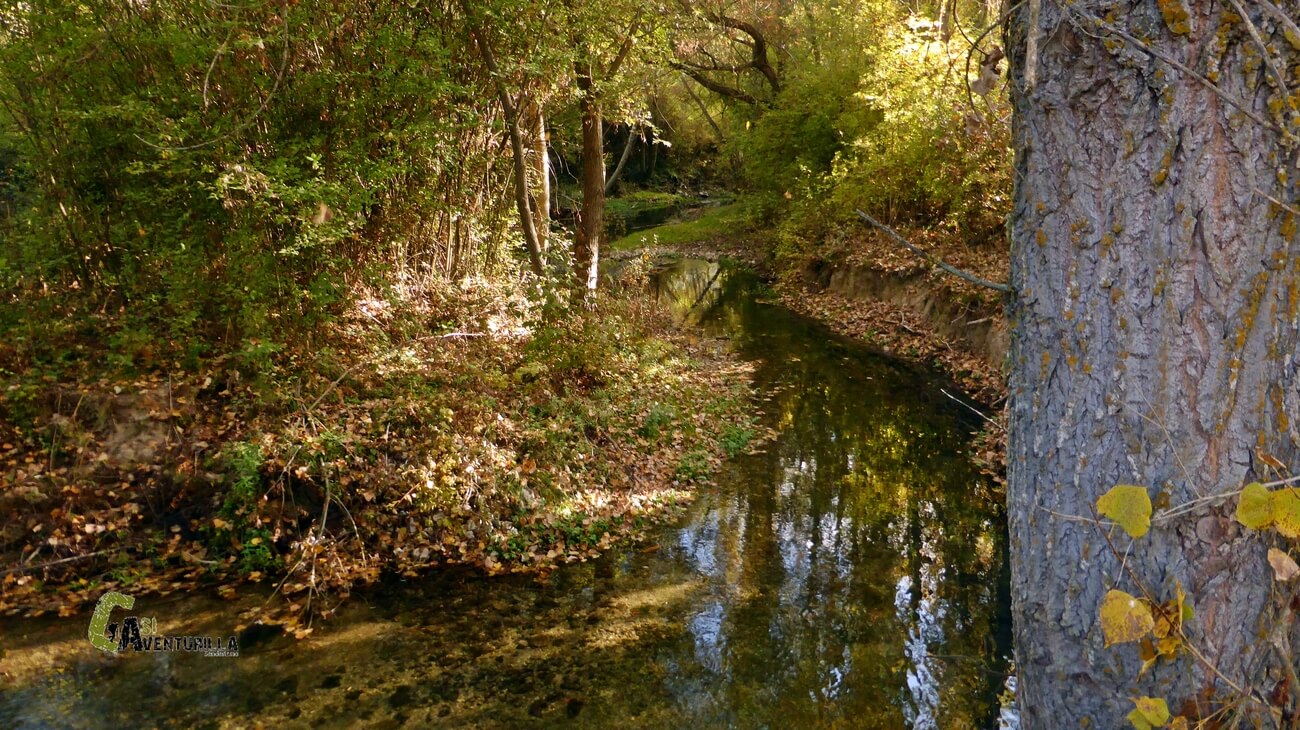 El rio Abion cerca del centro de visitantes