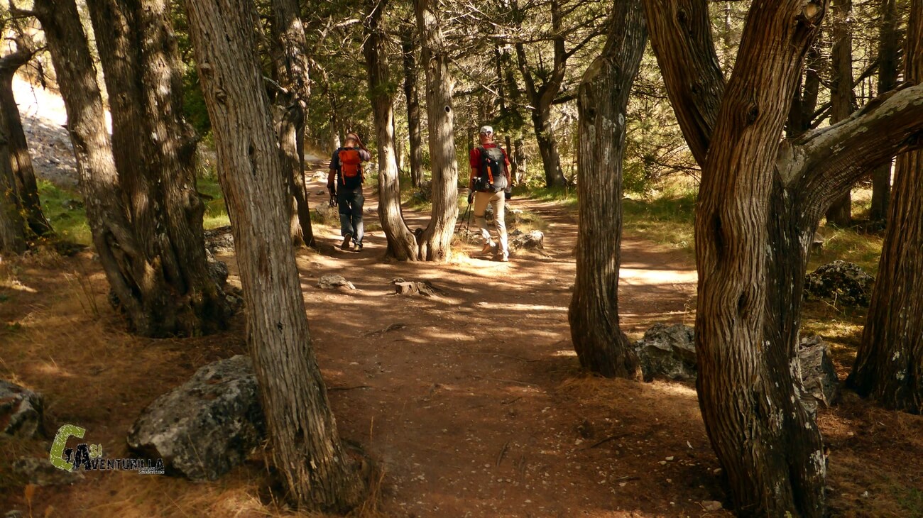 Bonito paseo hacia el Chorro de Espeñalayegua
