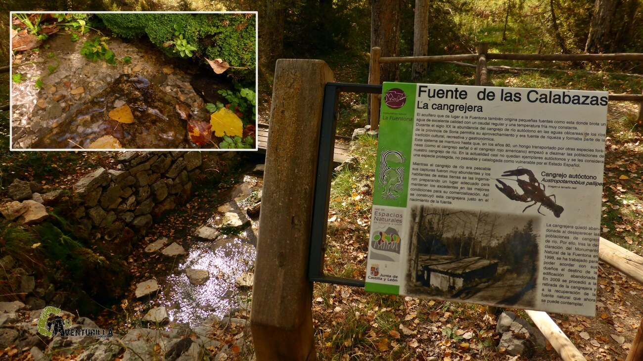 La fuente de las Calabazas
