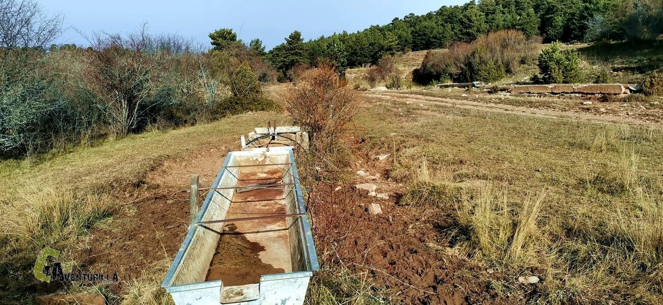 Fuente del Mas de Salas sin agua