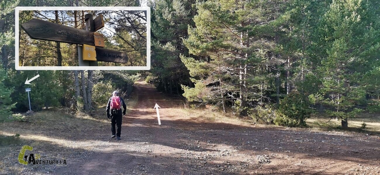 Recto cruce con PR-TE 8