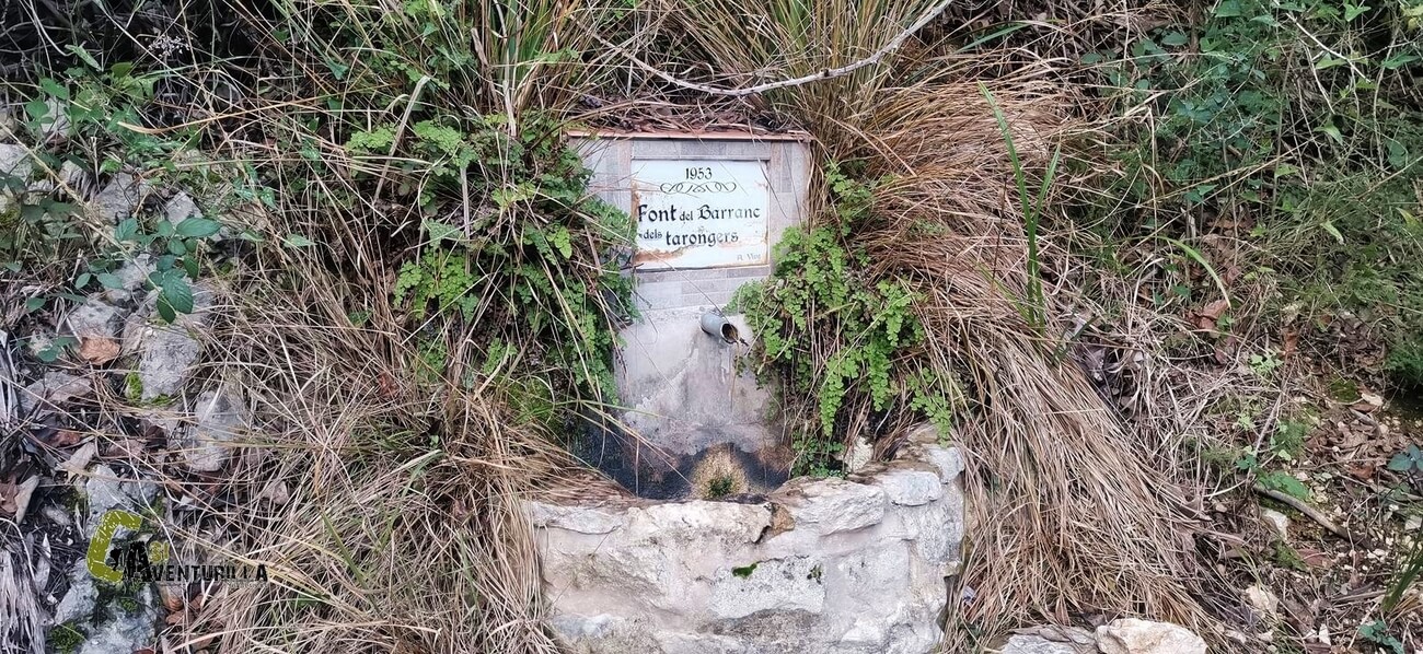La font del barranc dels Tarongers