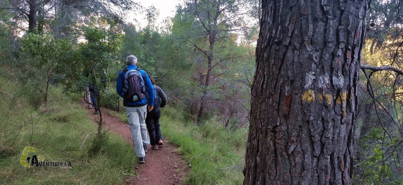 El sendero PR-CV 319 en la Vall de Sego