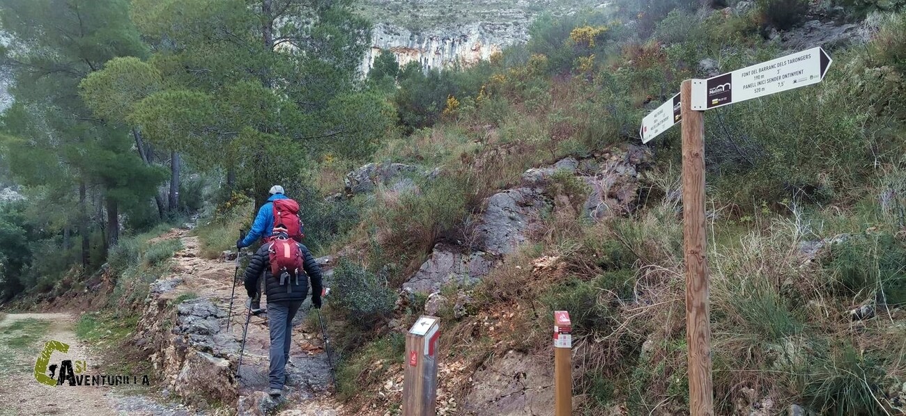 Seguimos por el camino del Cid