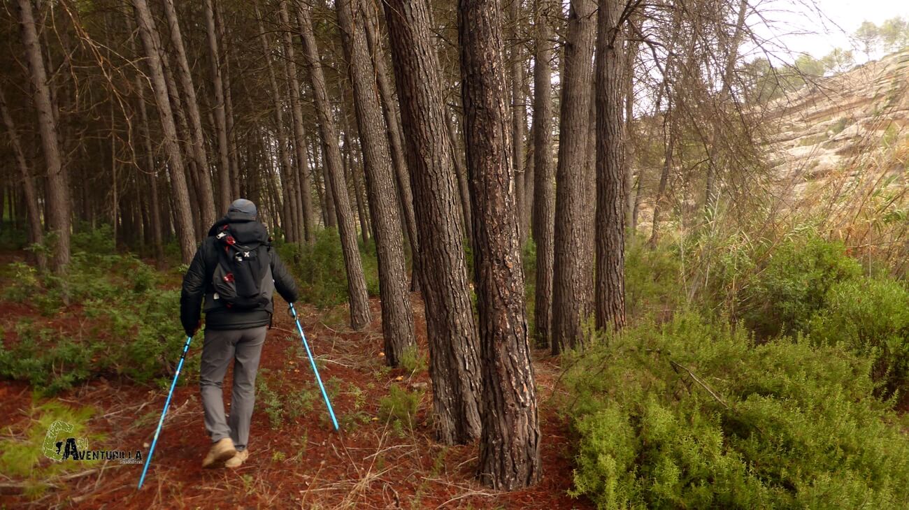 Tramo por el bosque
