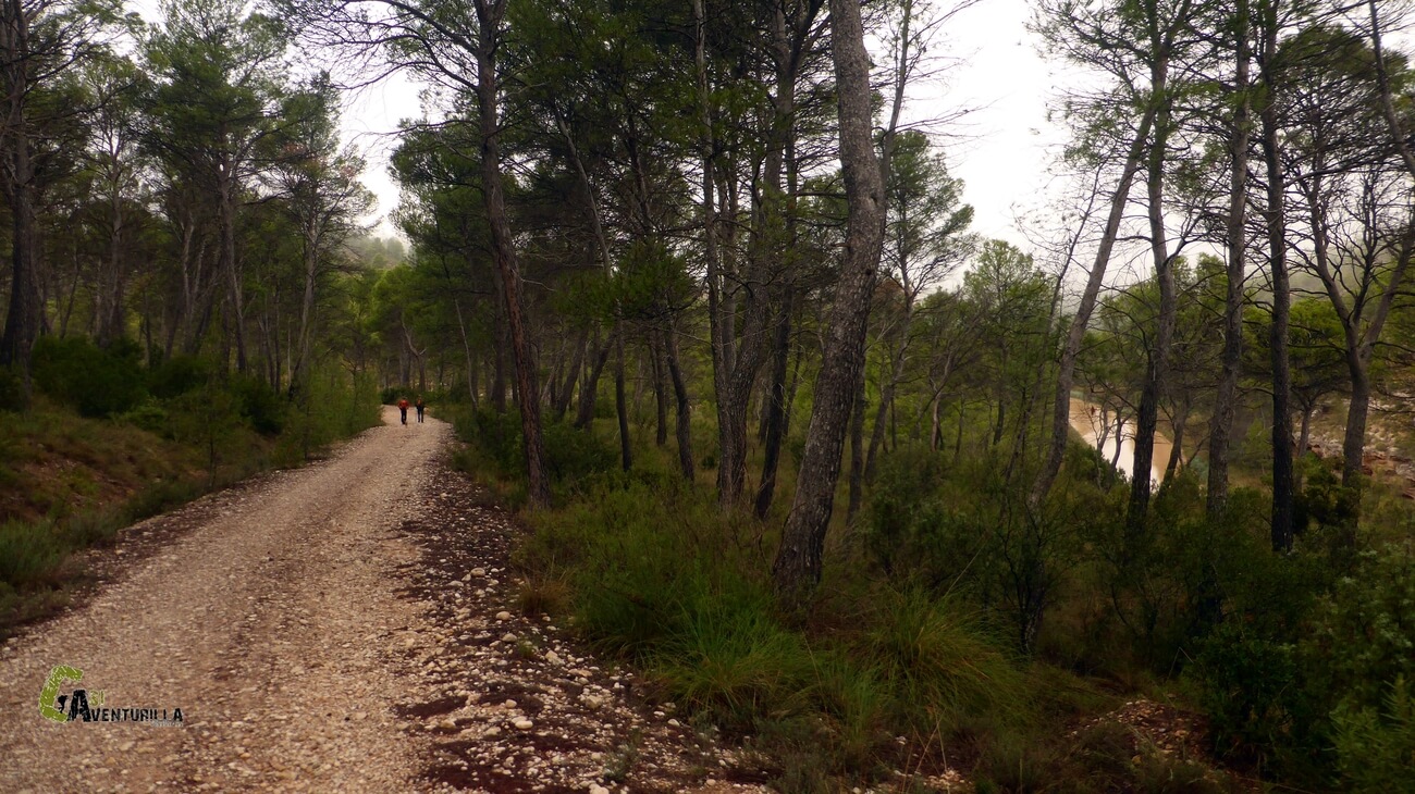 Pista forestal junto al rio Cabriel