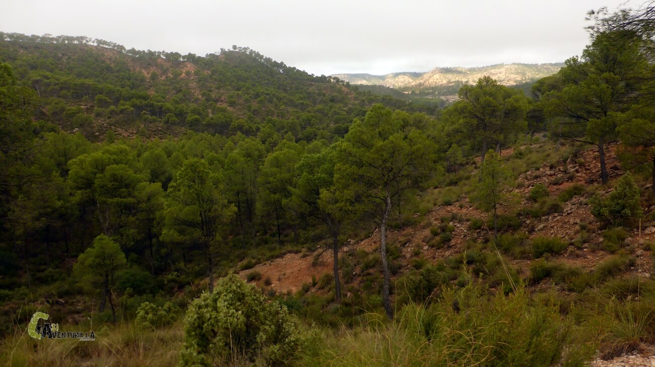 Barranco en Villatoya
