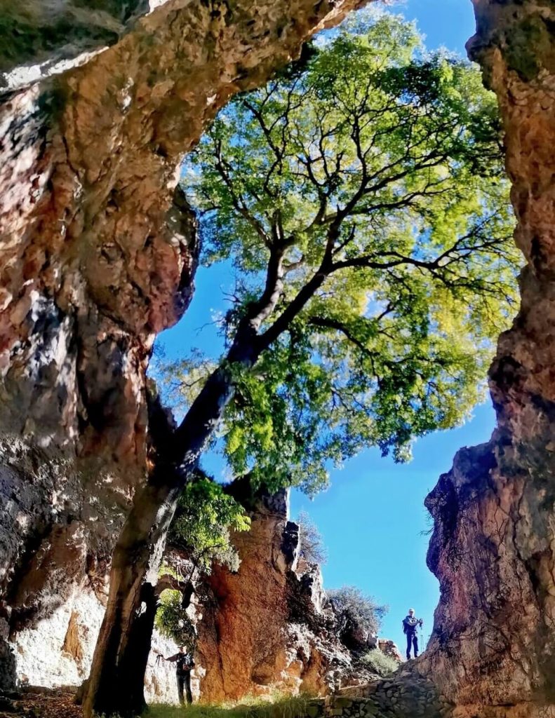 La Sima del Ayatonero en Teresa de Cofrentes