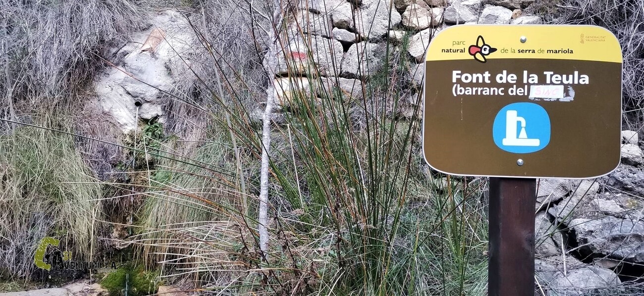 Font de la Teula en el barranc del Cint