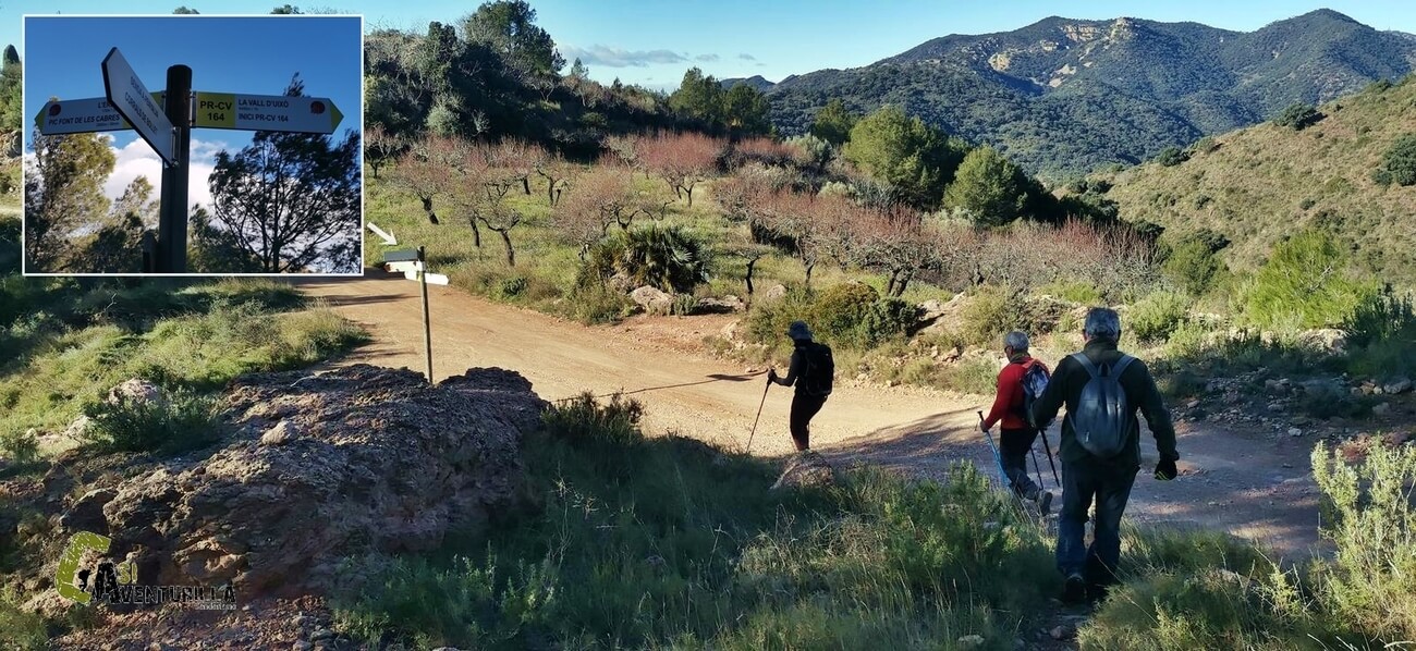 Bajando por sendero hasta llegar a la pista forestal