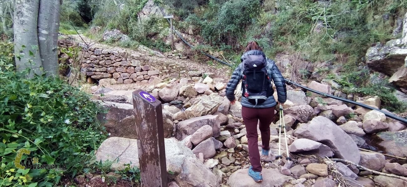 por la ruta morada de l'Arquet