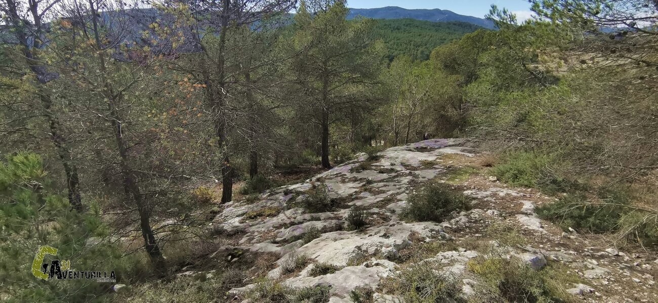 tramo incierto de sendero