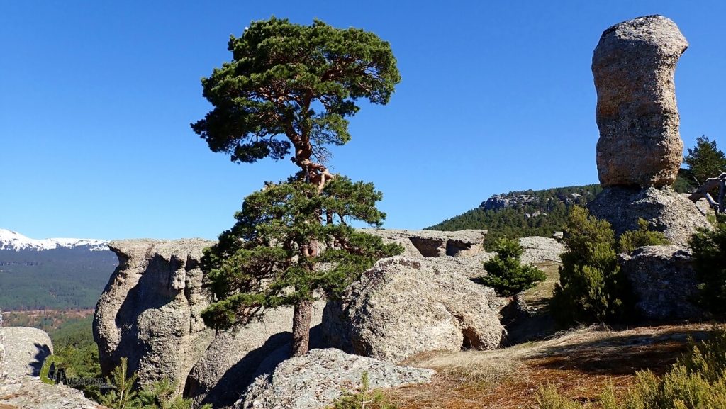 El viento y el agua han modelado un catálogo de formas imposibles en la roca