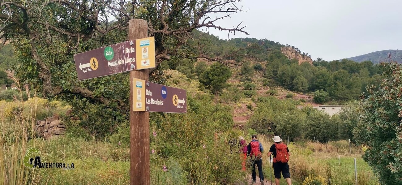 Ruta de les Macollades