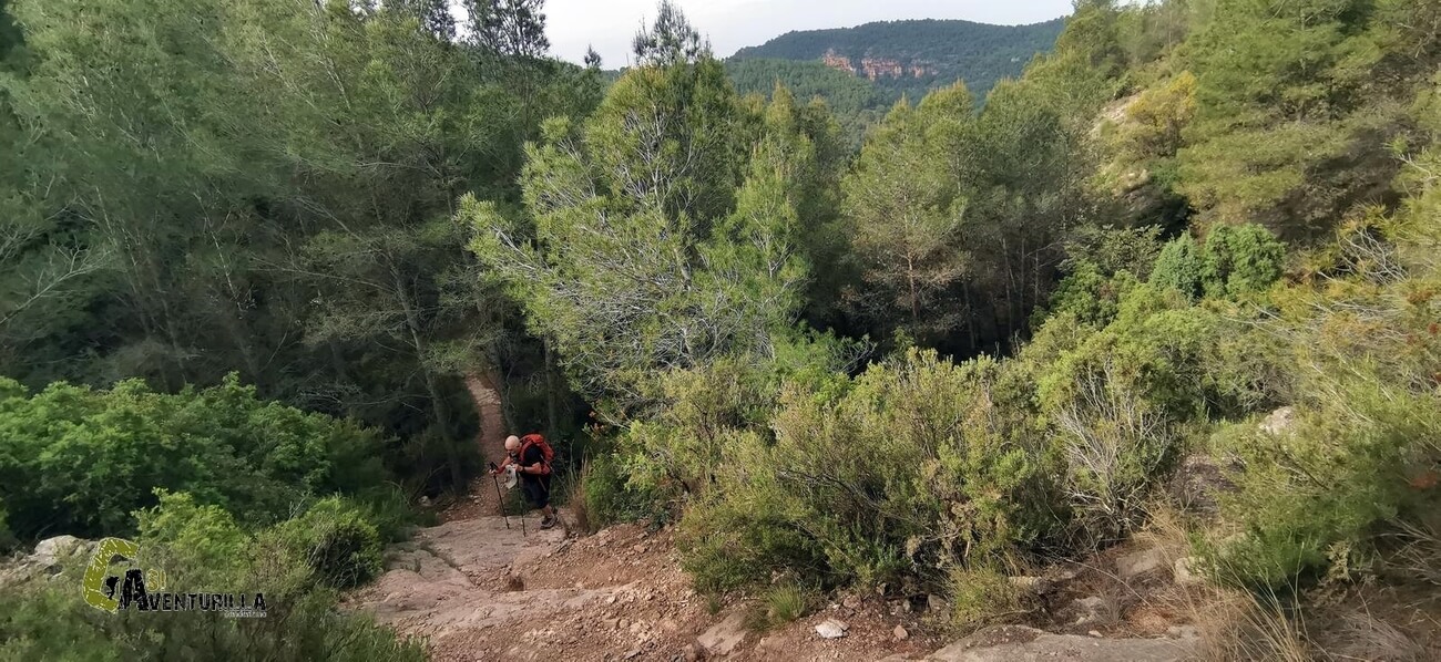 Subiendo hacia el castillo del Real
