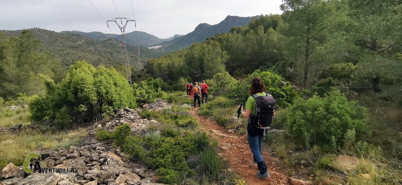 Descendemos por el cortafuegos