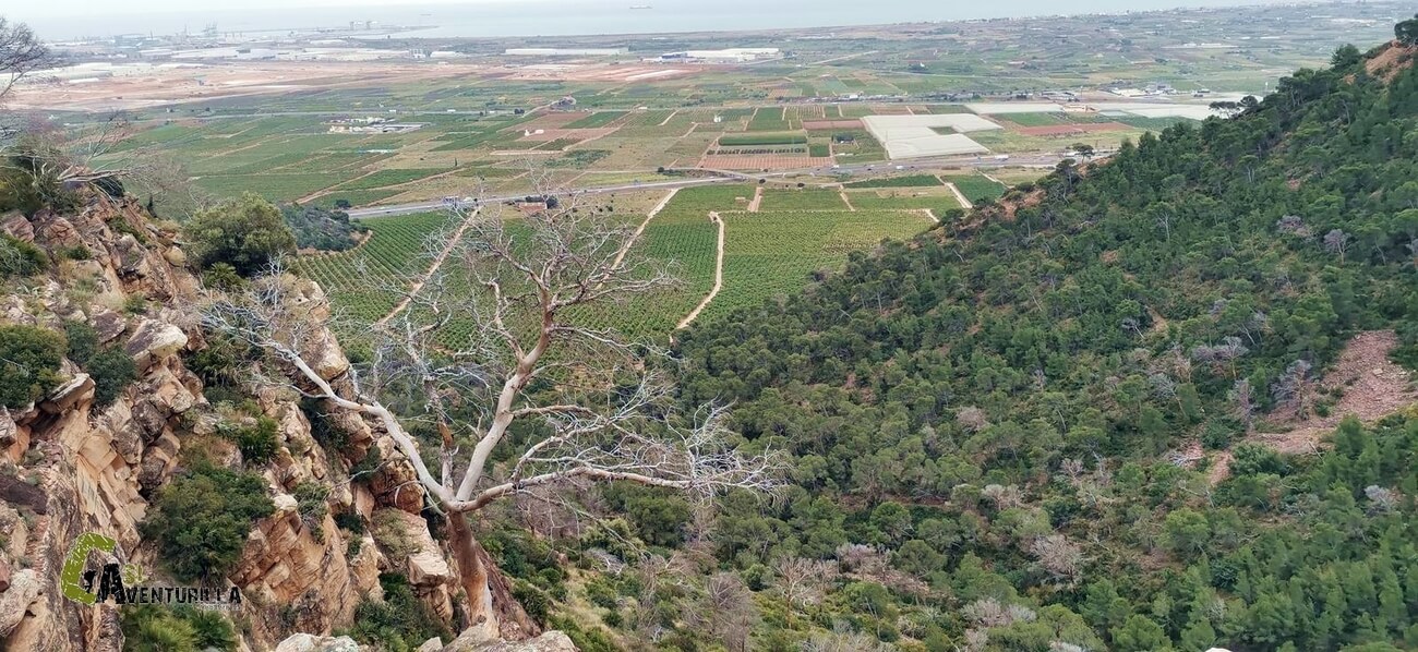 Vistas durante el recorrido por Montaña negra