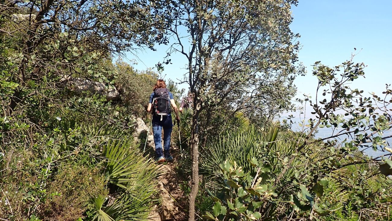 Sendero por el Cavall Bernat