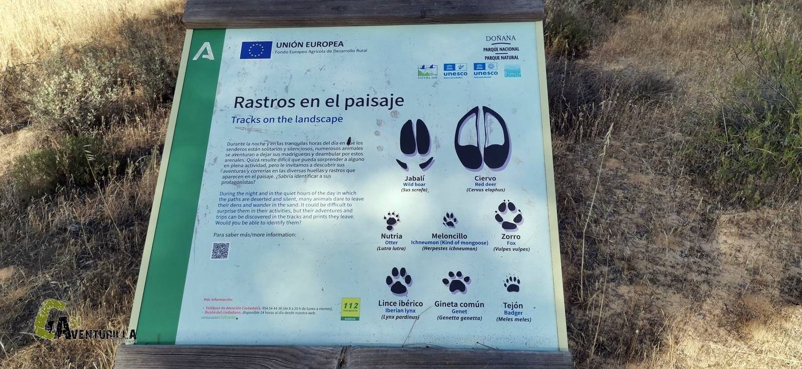 pisadas de animales