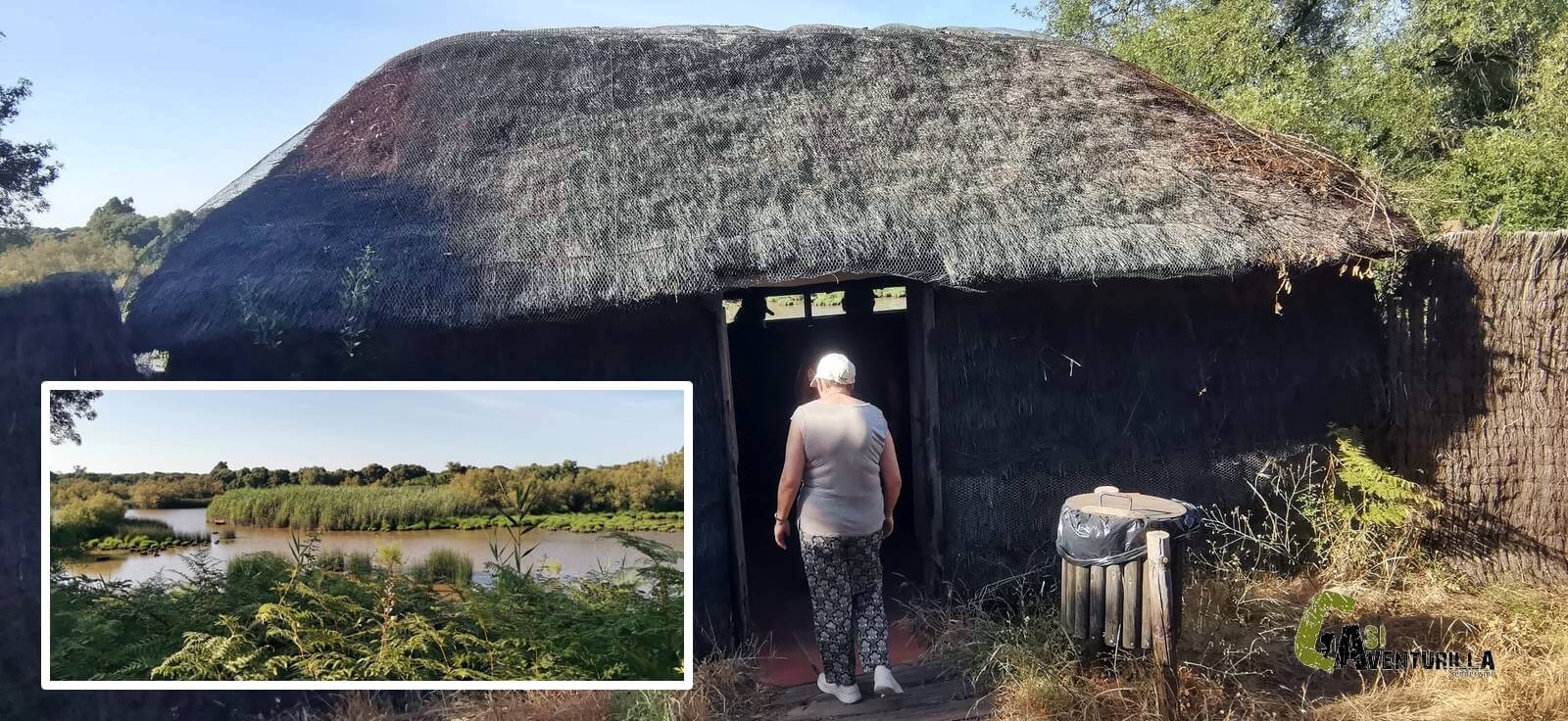 Observatorio Pato Cuchara en Doñana