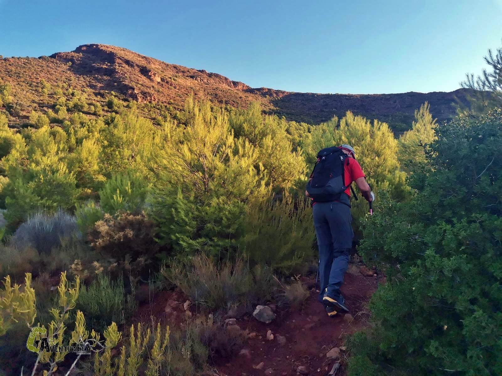 Sendero de subida al Montcudio
