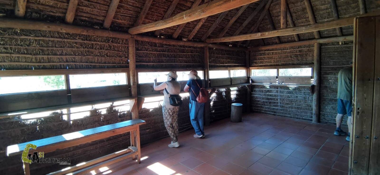 Observatorio Espatula en Doñana