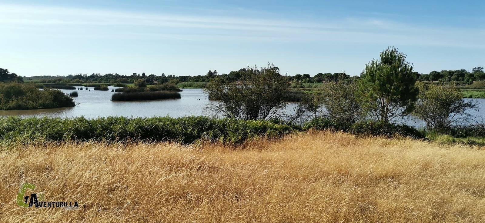 Observatorio Espatula en Doñana