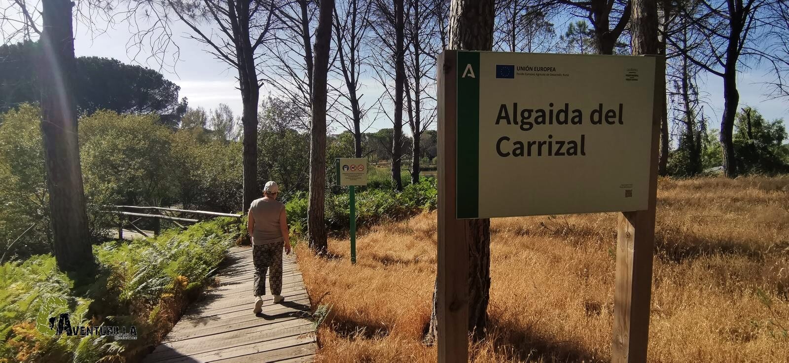 Algaida del Carrizal en Doñana