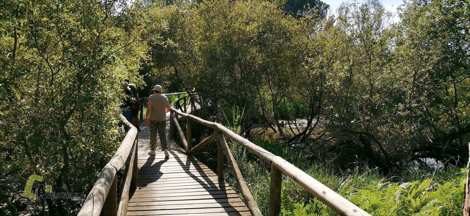 Algaida del Carrizal en Doñana