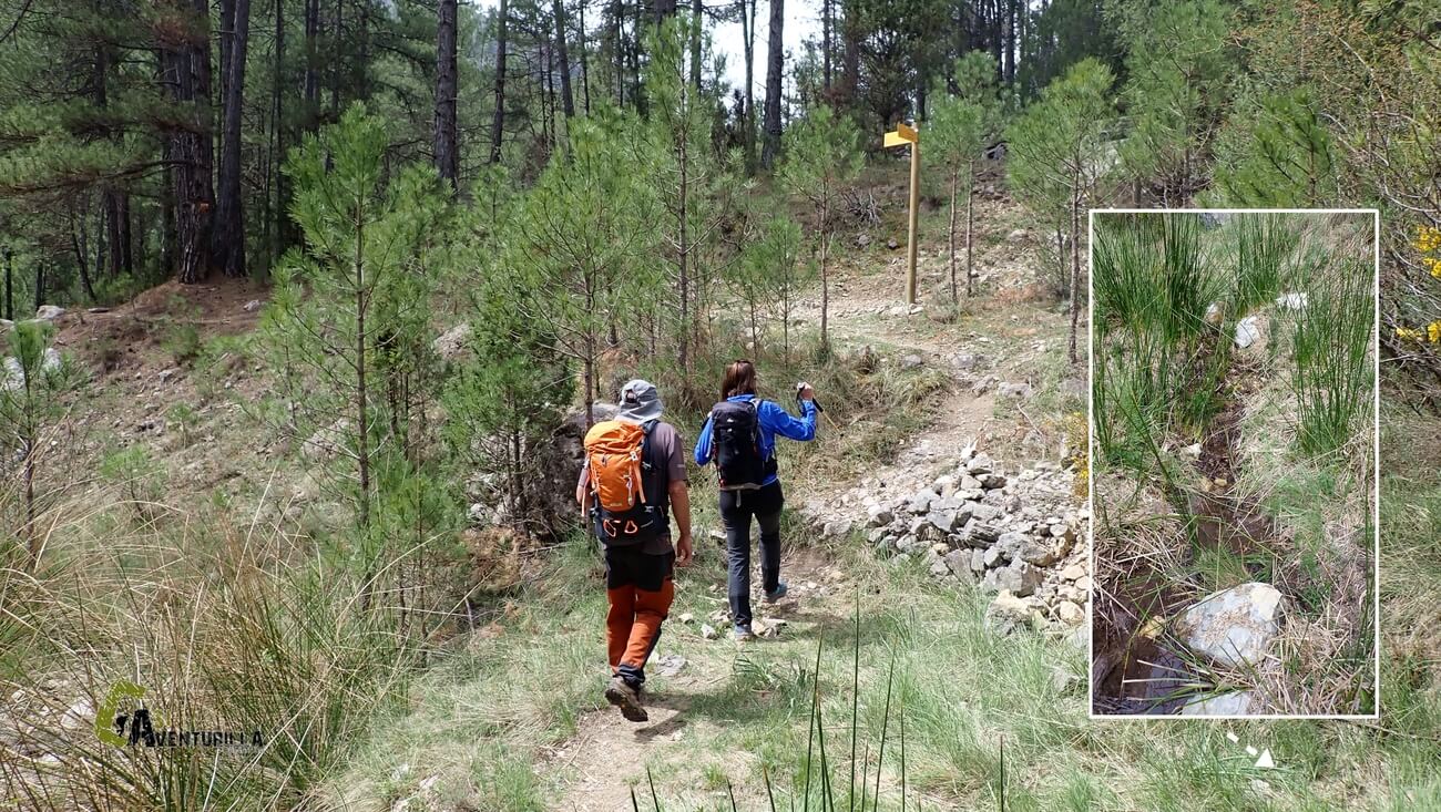 lugar donde brota la fuente Julianico