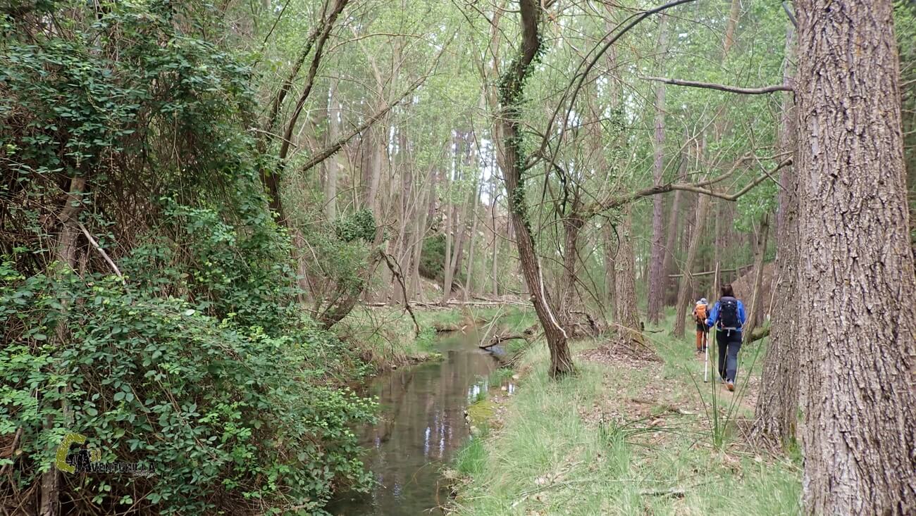 Sendero junto al rio Alcala
