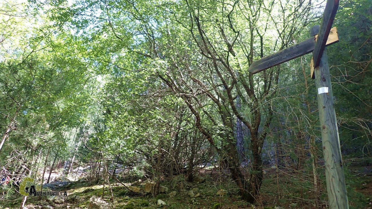 Antiguo sendero PR-TE 26