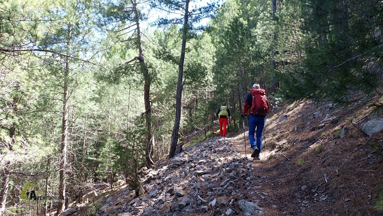 Subiendo por la senda del Carboncillo