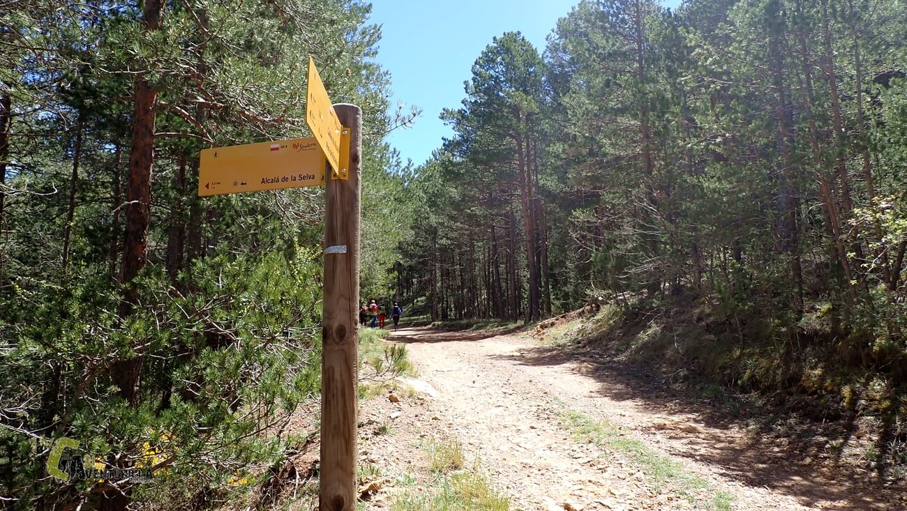 Desvio del GR 8 hacia Alcala de la Selva