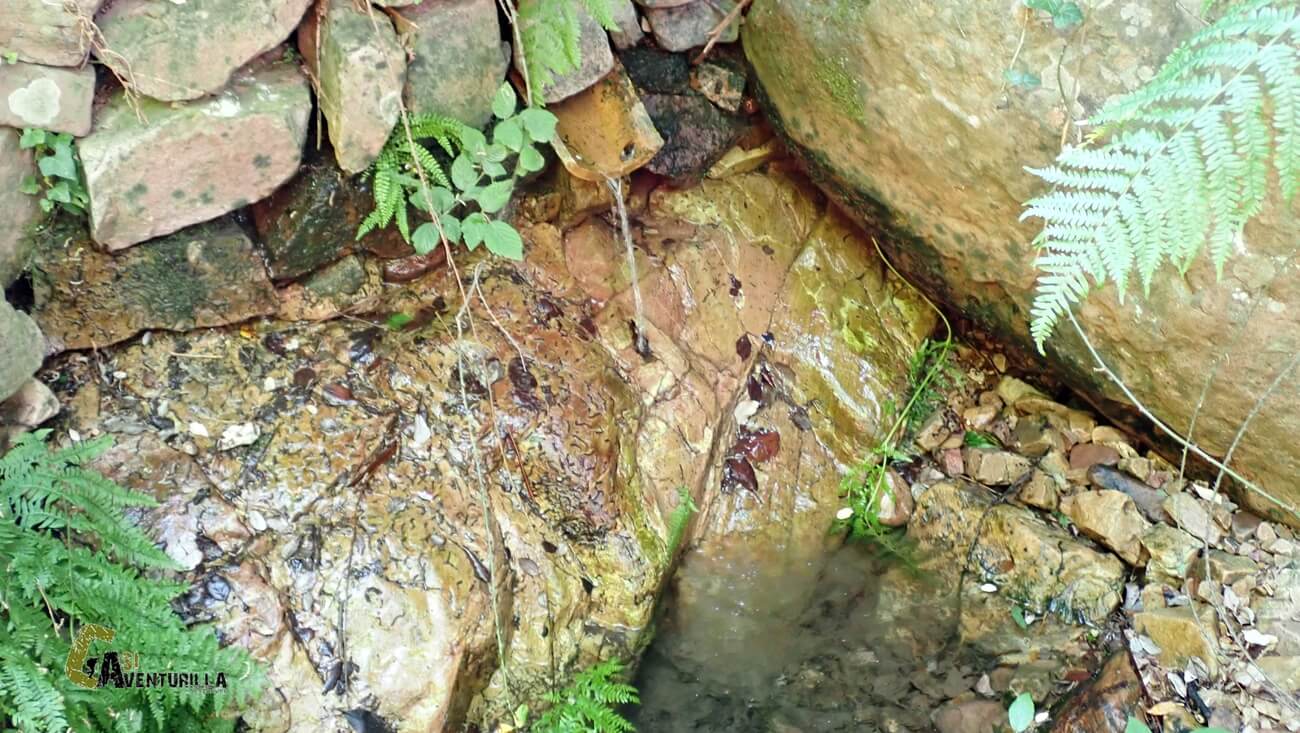 Fuente Fresca en el barranco de Ajuez