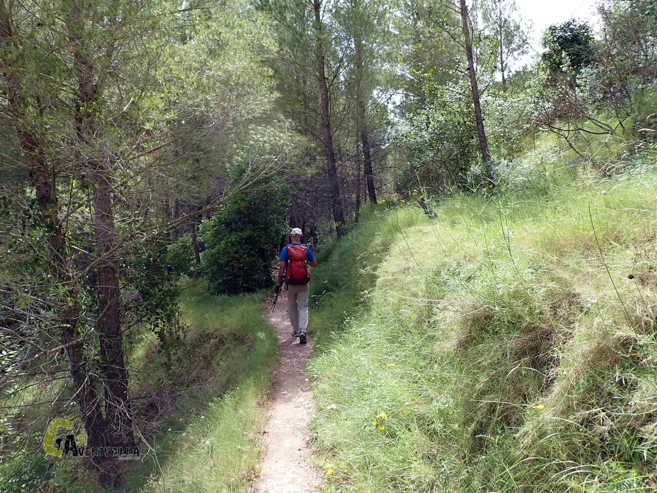 Por senda frondosa en el barranco de la Encantada