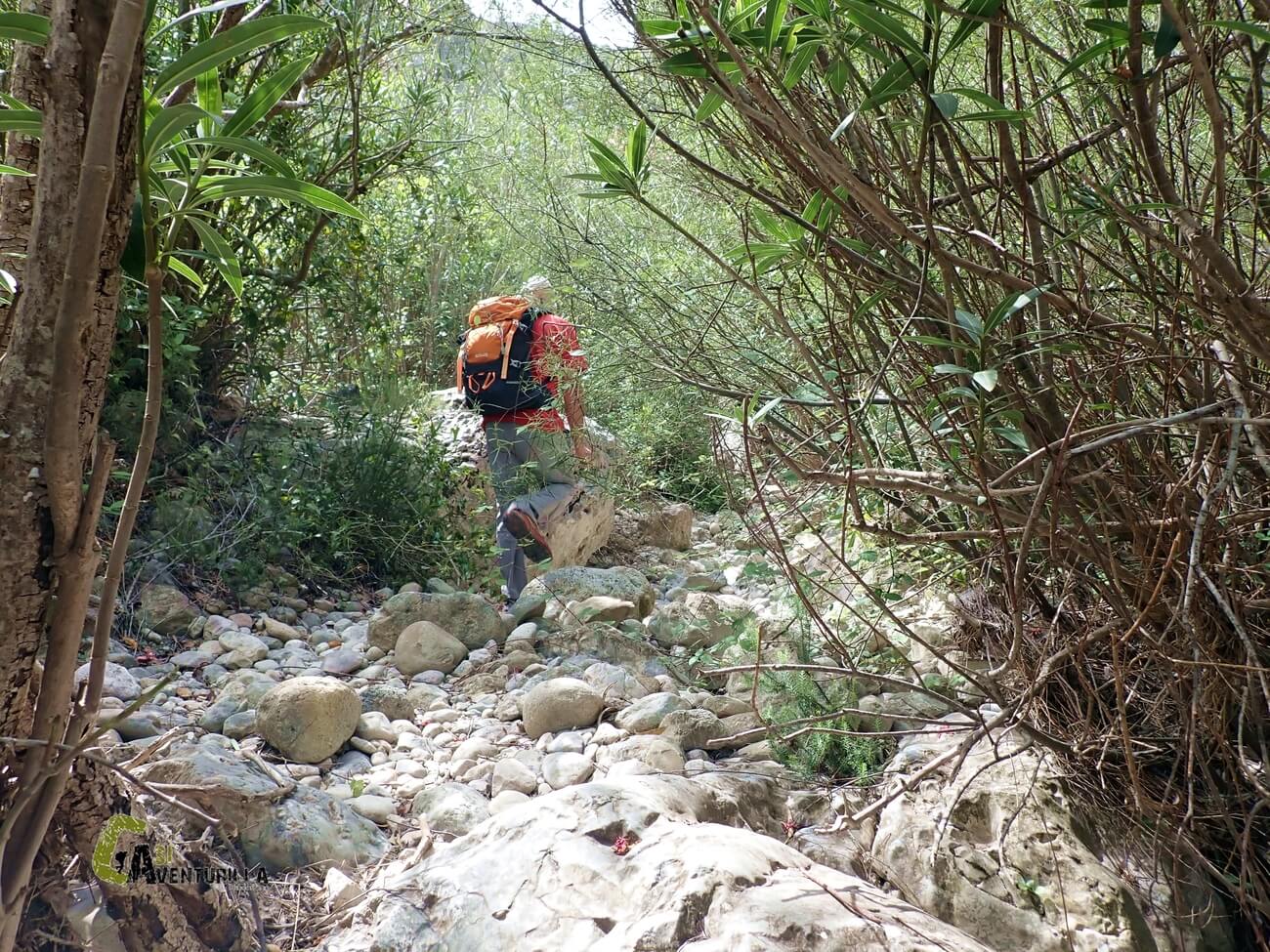 por dentro del Barranco de la Encantada